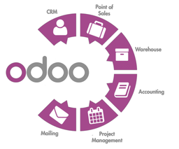 Quản lý chấm công trong Odoo